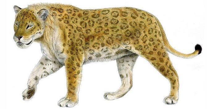 European Jaguar